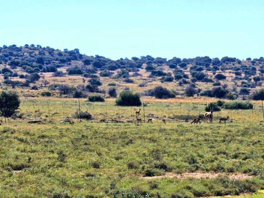 4 Bedroom Property for Sale in Bloemfontein Rural Free State